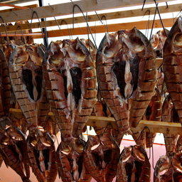 Рыбная продукция, произведенная на Кубани. Фото пресс-службы краевой администрации