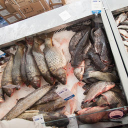 Свою продукцию представили рыбодобывающие и рыбоперерабатывающие компании из различных регионов