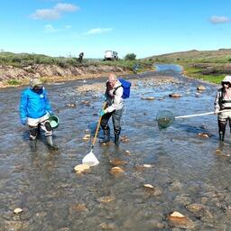 Специалисты ВНИРО продолжают мониторинг водных объектов Норило-Пясинской системы. Фото пресс-службы института