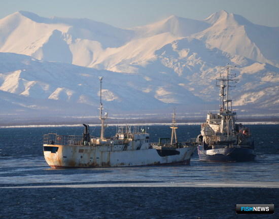 Virile в Авачинской бухте. Фото Пограничного управления ФСБ России по восточному арктическому району