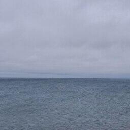 Участок расположен в заливе Анива