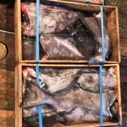 По данным пограничников, на борту нашли неучтенную рыбопродукцию. Фото пресс-службы Пограничного управления ФСБ России по Сахалинской области