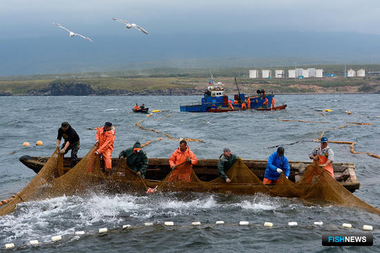 На Дальнем Востоке готовятся обновить правила рыболовства