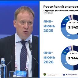 Руководитель ФГБУ «Агроэкспорт» Илья ИЛЬЮШИН. Скриншот трансляции