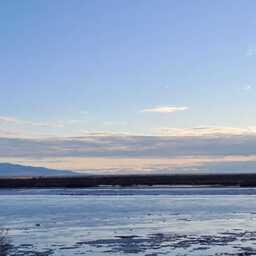 Хабаровский районный суд вынес приговор еще троим членам ОПГ за незаконный оборот черной икры. Архивное фото