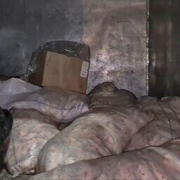 В Астрахани полицейские пресекли перевозку 500 кг воблы без документов. Кадр оперативной съемки