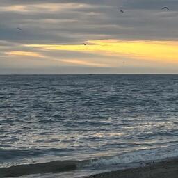 Проблематика прибрежного рыболовства привлекла внимание региональных властей не только на Камчатке