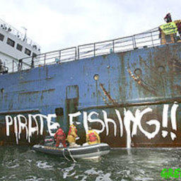 Активисты «Гринпис» пытались блокировать разгрузку российского судна в порту Голландии