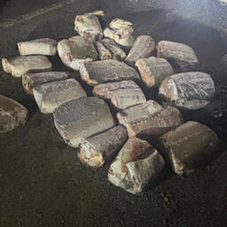 Изъятые фрагменты осетровых. Фото пресс-службы УМВД по Хабаровскому краю