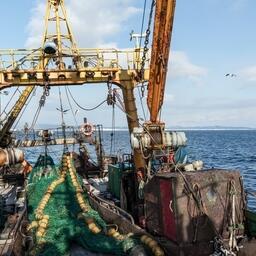 Рыбный промысел на Дальнем Востоке. Фото предоставлено ЮКРК