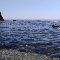 Российские ученые установили, что степень загрязненности водоемов можно оценивать по состоянию печени рыб. Архивное фото