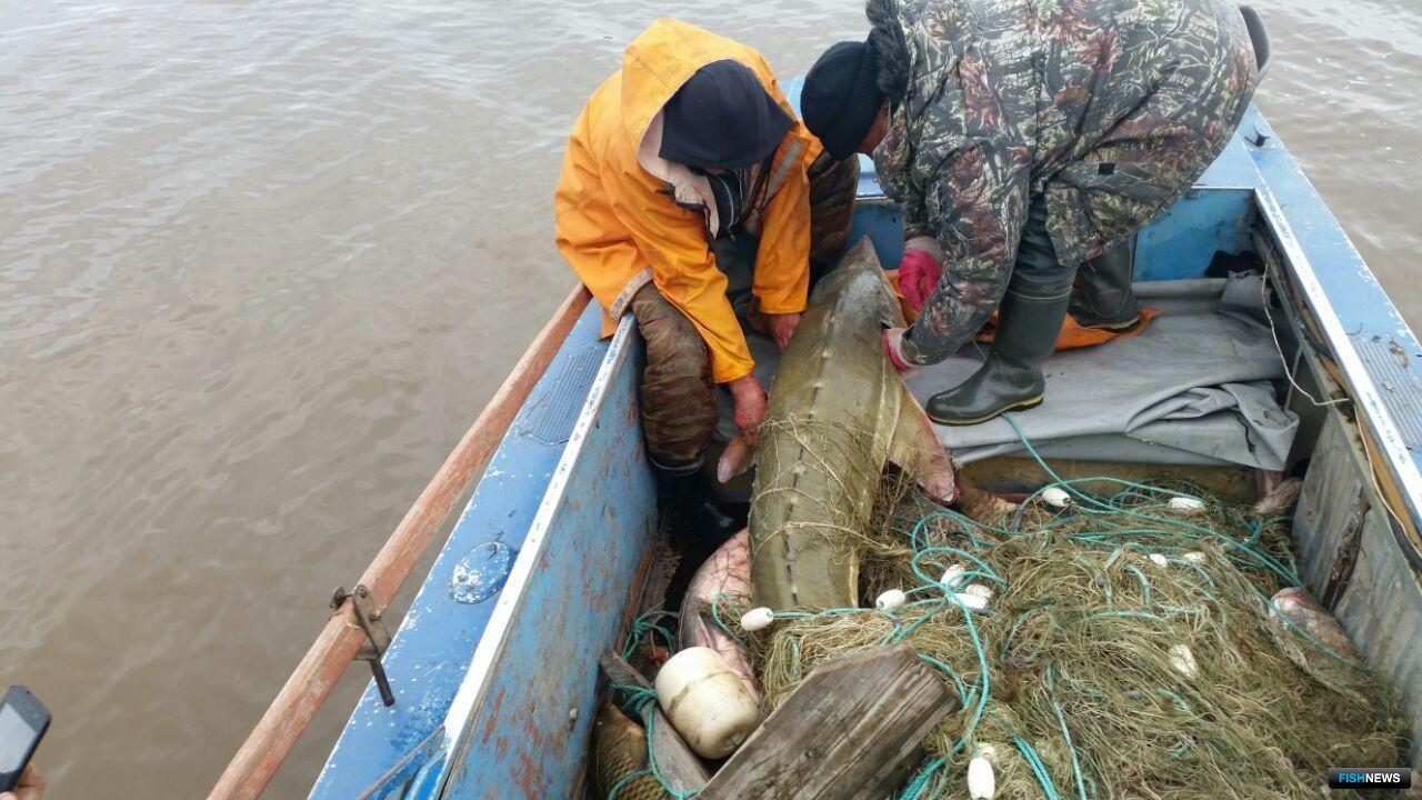 Лов рыбы в беларуси