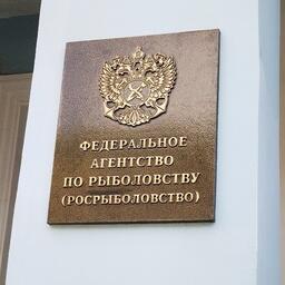 Росрыболовство будет определять объемы вылова при отсутствии межгосударственных решений