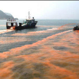 «Красная волна» уходит от корейских берегов
