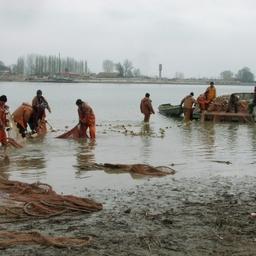Рыбный промысел в Володарском районе. Фото с сайта районной администрации