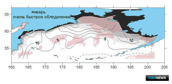 Карта вероятности обледенения на акватории Берингова моря в январе