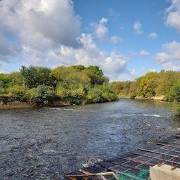 В Главрыбводе отмечают эффективность мер по охране рек на Сахалине. Фото с сайта учреждения