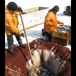 Зимний лов на Ямале. Фото пресс-службы правительства округа