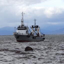 Рыболовное судно на Дальнем Востоке. Архивное фото