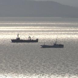 Ассоциация предприятий рыбной отрасли Хабаровского края попросила власти региона поддержать рыбопромышленников в вопросе нераспространения квотных аукционов и введения экспортных пошлин