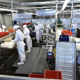 Часть бизнеса отдохнет от плановых проверок и в 2023 году