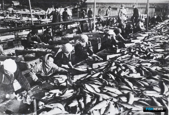 1937 год оказался весьма успешным для производства Озерновского рыбокомбината. Большую роль в этом играло стахановское движение. Фото из архивов Озерновского РКЗ № 55