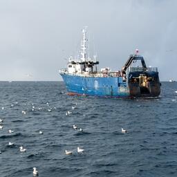 Рыбный промысел на Дальнем Востоке. Фото предоставлено ЮКРК