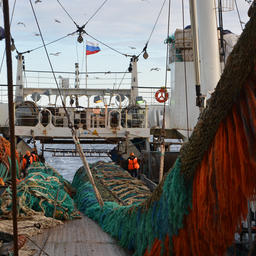 Рыбный бизнес призвал сохранить концепцию по налогам