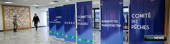 «Рыбный» Комитет ФАО съехался на сессию. Фото пресс-службы ФАО