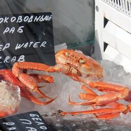 Правительство исключило глубоководных крабов из перечня видов, по которым выделяются квоты добычи в инвестиционных целях. Архивное фото