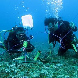 Исследователи устанавливают гидрофоны у побережья Бали, чтобы измерить эффект Ниепи (Ниепи – День тишины на Бали). Фото Hanggar Prasetio, CI Индонезия (The Nature)