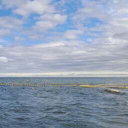 На рыболовных участках ведется, в частности, добыча тихоокеанских лососей
