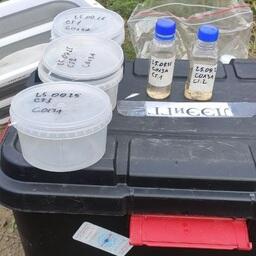 До конца года образцы будут тщательно изучать в лаборатории. Фото пресс-службы Главрыбвода