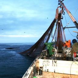 Рыбный промысел у берегов Сахалина