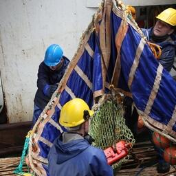 Модернизация рыбной отрасли приведет к созданию  новых рабочих мест