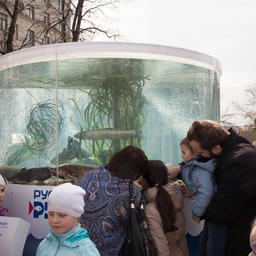 С 22 по 28 апреля в российской столице прошел фестиваль «Рыбная неделя»