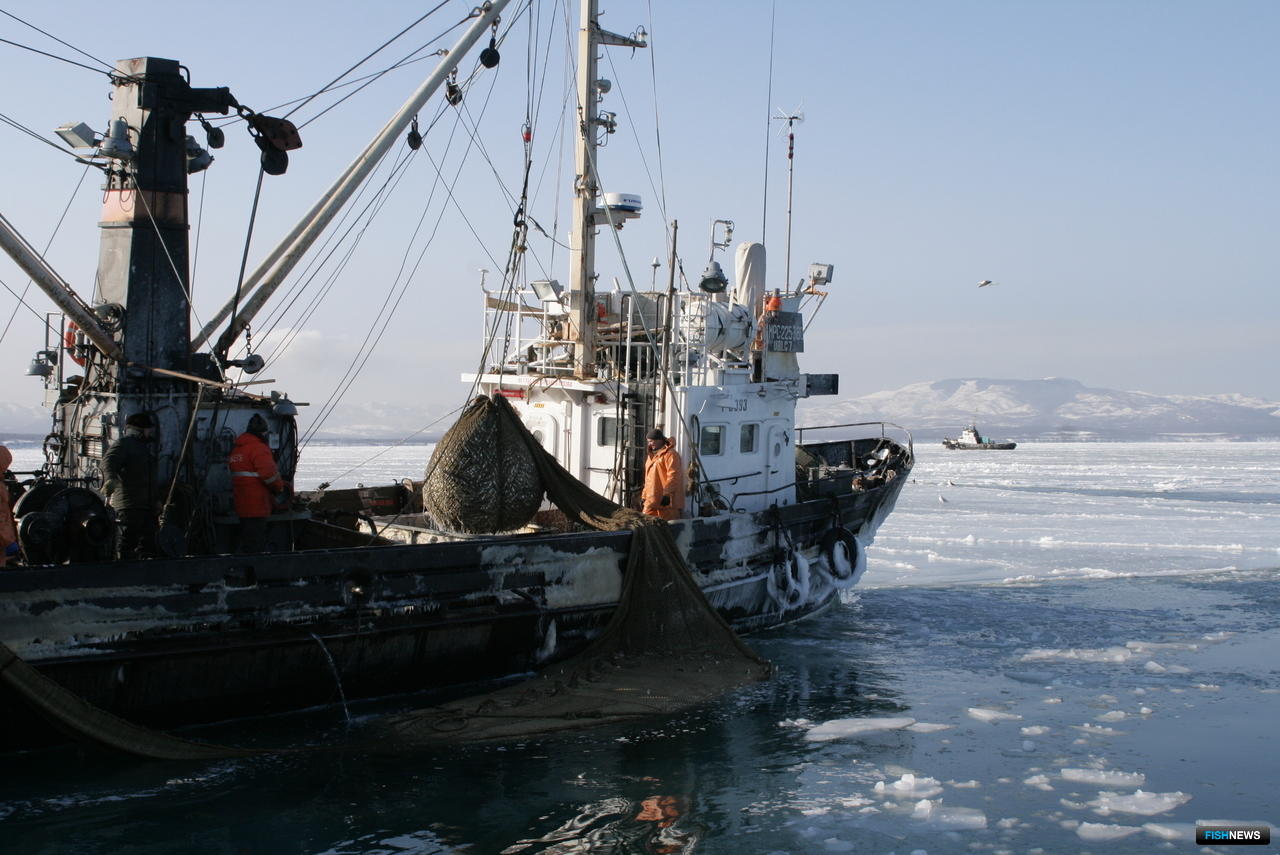 Южно-Сахалинск Прибрежный лов. Прибрежный лов Владивосток. Лов наваги два сейнера. Прибрежный лов