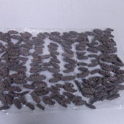 У гражданина Китая изъяли почти 200 штук незадекларированного сушеного трепанга. Фото пресс-службы ДВТУ