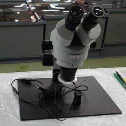 Ученые изучают соседство бокоплавов и копеподов. Архивное фото