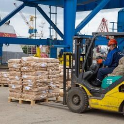 Разгрузка уловов в порту Архангельска. Архивное фото