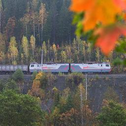 Грузовой поезд. Фото с сайта РЖД