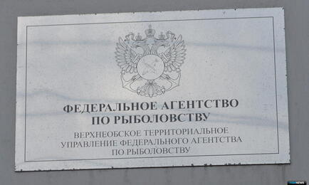 Торги по распределению рыбоводных участков организовало Верхнеобское теруправление Росрыболовства. Архивное фото