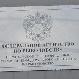 Торги по распределению рыбоводных участков организовало Верхнеобское теруправление Росрыболовства. Архивное фото