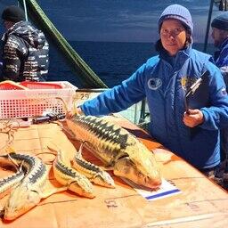 Специалисты филиала ведут в том числе мониторинг популяций осетровых в Азовском море. Фото пресс-службы ВНИРО