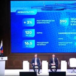 Проблемы и перспективы отечественной аквакультуры озвучили на коллегии Росрыболовства. Кадр видео федерального агентства