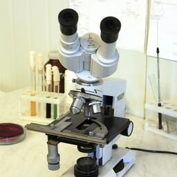 Ученые бьют тревогу из-за состояния запасов Азовского моря