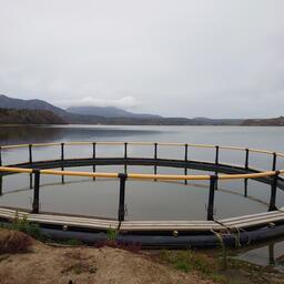 Визуальные средства для группового маркирования нужно будет наносить, например, на садки
