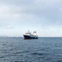 Российские рыбаки добыли 644,4 тыс. тонн водных биоресурсов