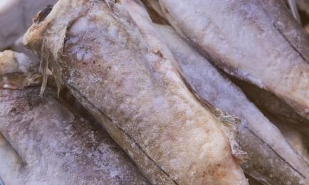 Компания приняла участие в программе инвестиционных квот вылова с береговым заводом