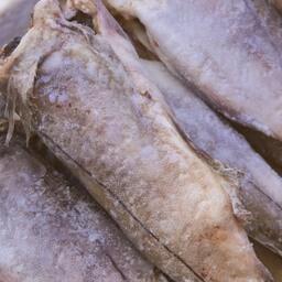 Компания приняла участие в программе инвестиционных квот вылова с береговым заводом